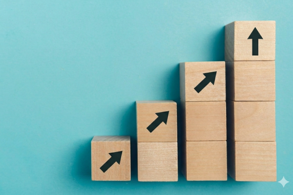 Klíčové kroky pro zavedení norem